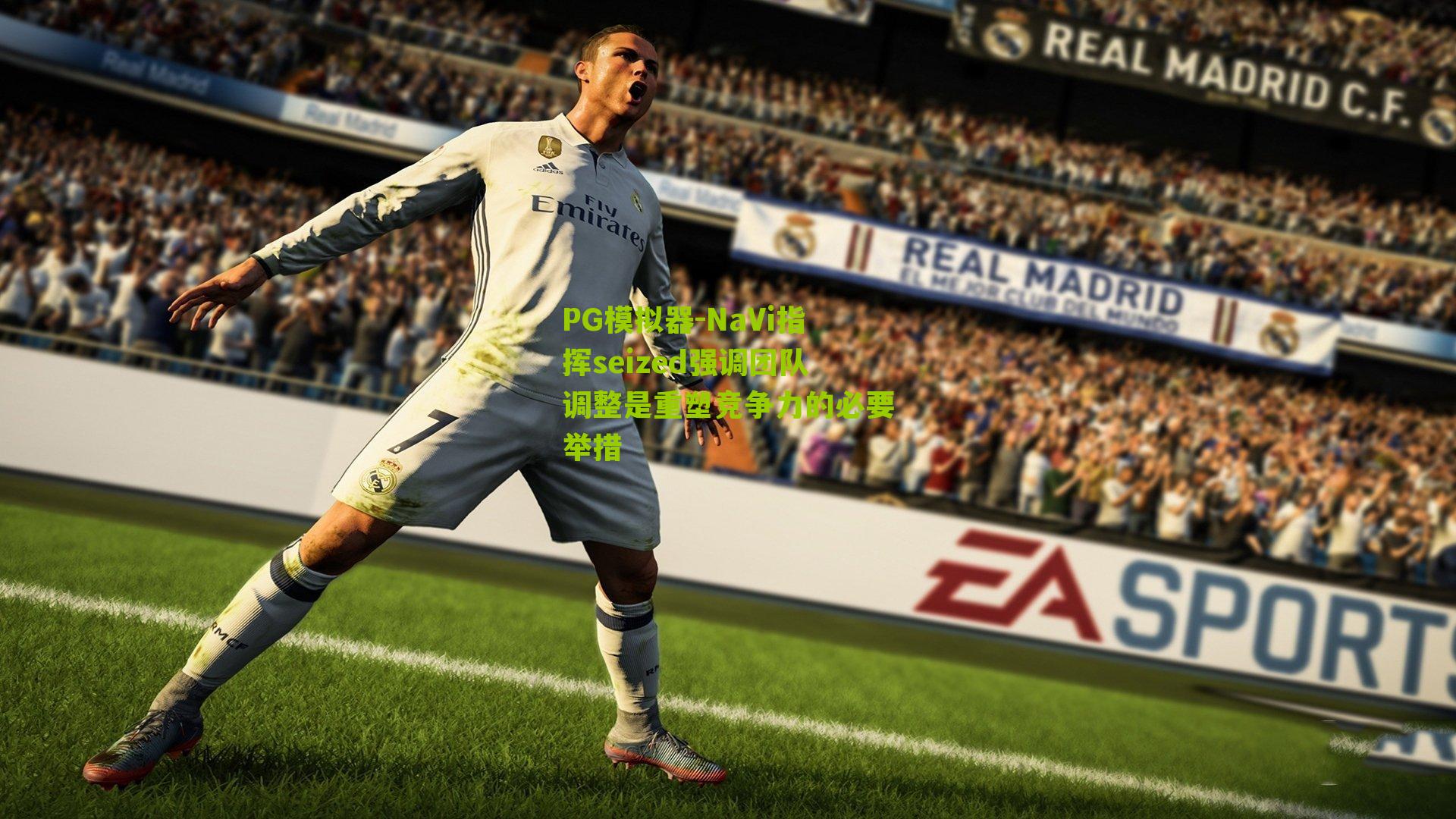 NaVi指挥seized强调团队调整是重塑竞争力的必要举措